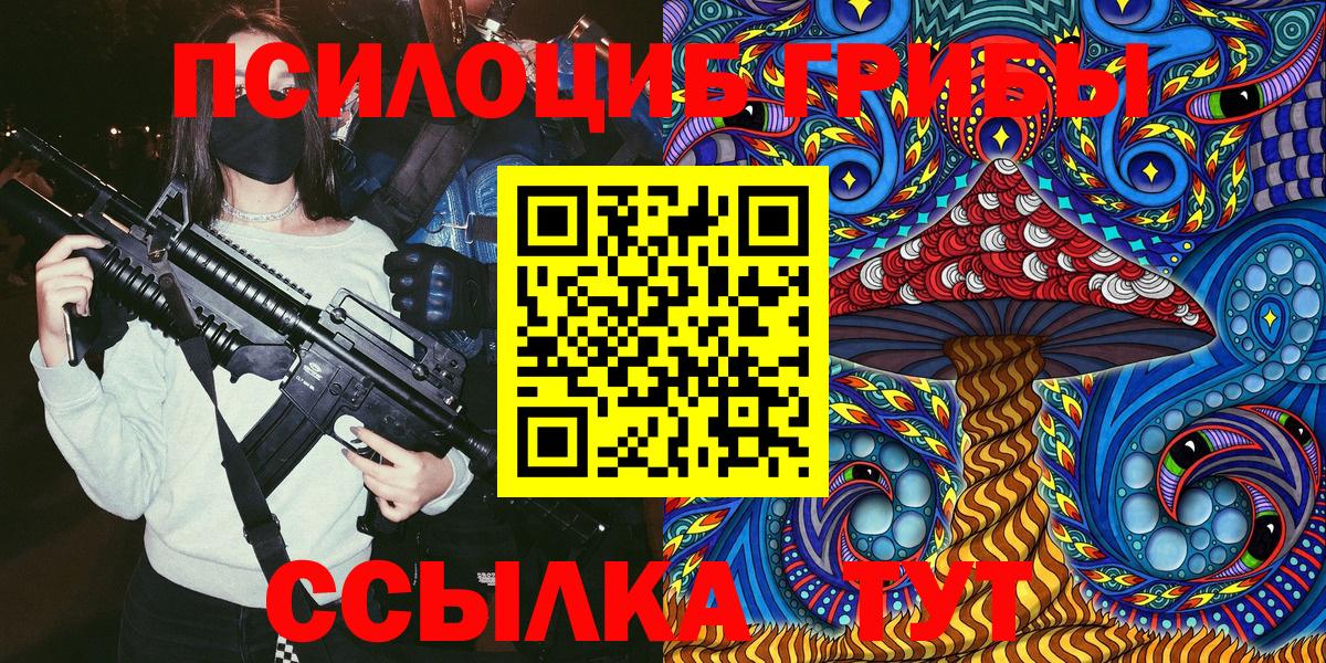 Псилоцибиновые грибы Psilocybe Долгопрудный