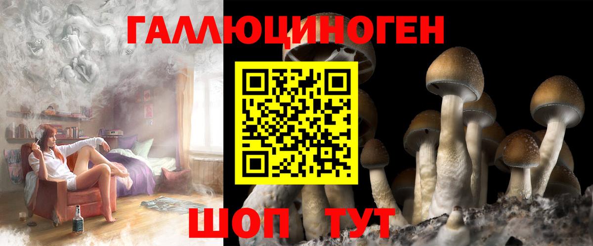 Псилоцибиновые грибы Psilocybine cubensis  Вход с VPN  Псилоцибиновые грибы GOLDEN TEACHER  Долгопрудный 